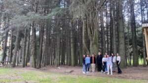 Grupo de jóvenes posando en un pinar